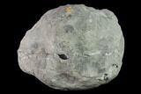 Keokuk Quartz Geode with Calcite & Pyrite Crystals - Missouri #144761-3